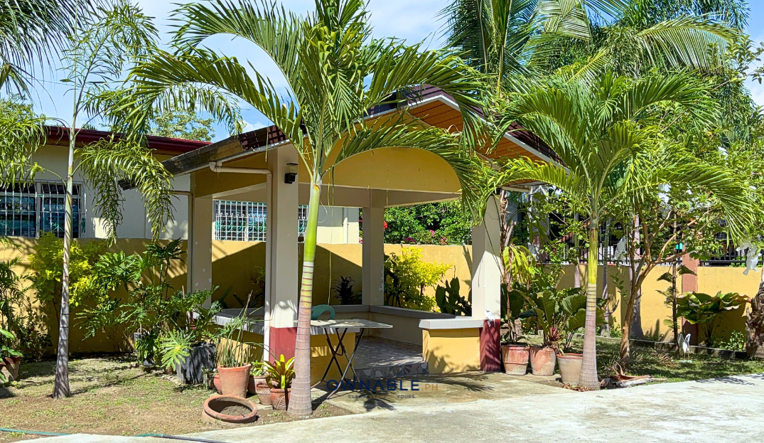 Spacious 1,171 sqm Estate with Modern Home, Rental House & Private Orchard in Villasis, Pangasinan