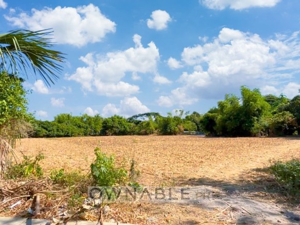 20,697 SQM Prime Land for Sale with Approximately 200M Frontage in Taloy, Malasiqui, Pangasinan