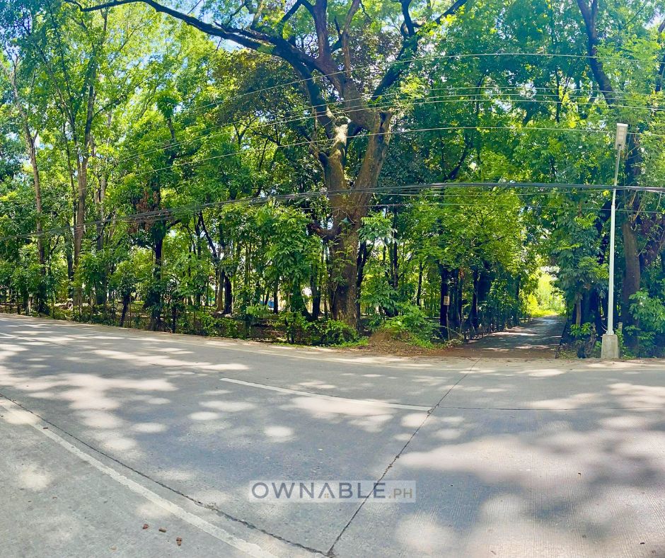 510 SQM Commercial Lot for Sale Along Tayug–San Quintin Provincial Road, Tayug, Pangasinan