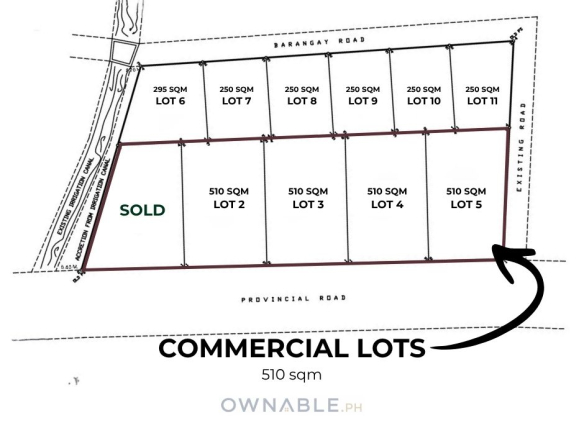 510 SQM Commercial Lot for Sale Along Tayug–San Quintin Provincial Road, Tayug, Pangasinan