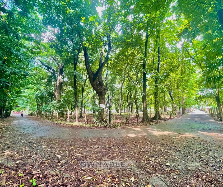 250 SQM Residential Lot for Sale Near Tayug–San Quintin Highway, Tayug, Pangasinan